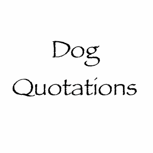 Dog Quotations to Celebrate any Occasion