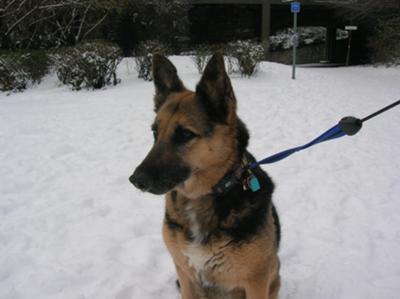 Snowy time fun Snowy time fun