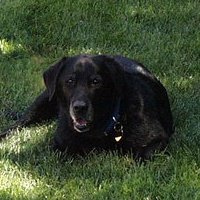 Jasmine, Rest in Peace Jasmine, Rest in Peace