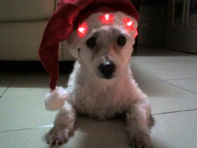 It's Time To Party! It's Time To Party!