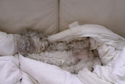 Baby - my best friend forever. Baby - my best friend forever.