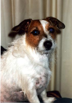 Buster (10/15/96-10/27/08) Buster (10/15/96-10/27/08)