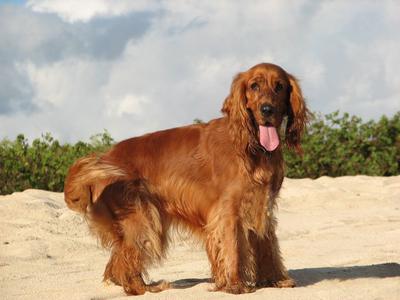 Abbey brought happiness to all who knew her Abbey brought happiness to all who knew her