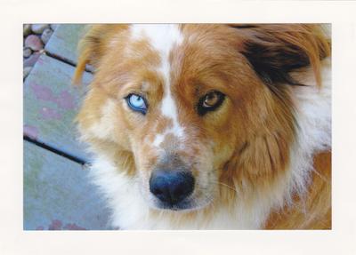 Gabriella ( Gabby Girl ) Gabriella ( Gabby Girl )