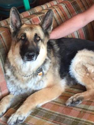 My Handsome Ike My Handsome Ike