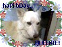 Our Queenie Our Queenie