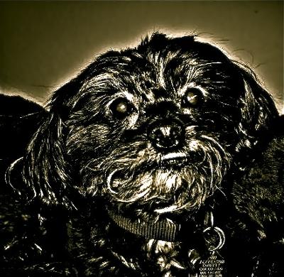 I ♡ YOU MAX I ♡ YOU MAX