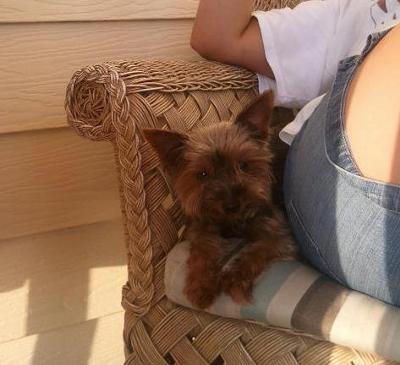 Vacation at Vilano Beach July 2011 Vacation at Vilano Beach July 2011