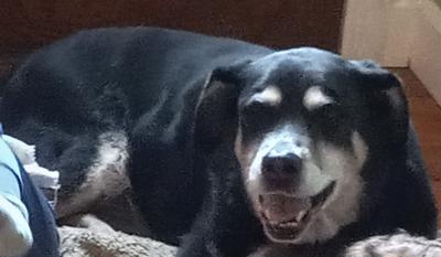 Relaxing Molly Relaxing Molly