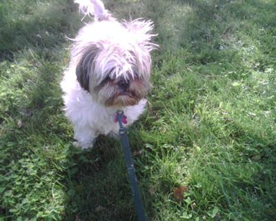 On the grass, her favorite place On the grass, her favorite place