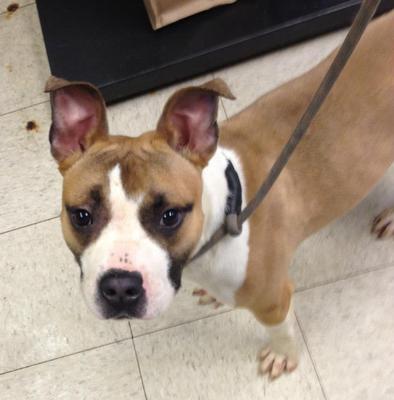 Brody James Osborn 2012-2013 Brody James Osborn 2012-2013