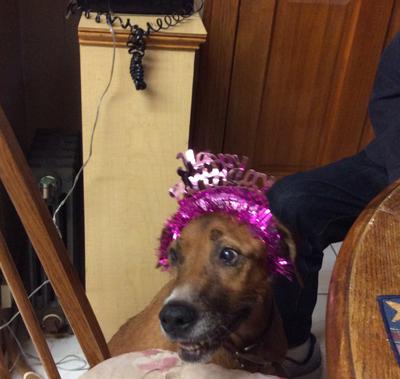 Special Girl Special Girl