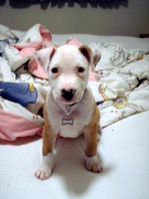 *Rest In Peace* *Rest In Peace*