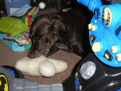 Santa brought Lady a Dolly. Santa brought Lady a Dolly.