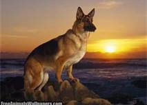 This is the closest picture to my Ally xox This is the closest picture to my Ally xox