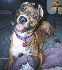 Smiling From Up Above Smiling From Up Above