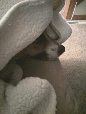always had to be cuddled always had to be cuddled