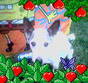 Mickey Mickey