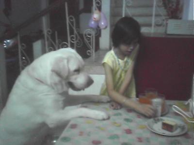 Happy Birthday to Babu Happy Birthday to Babu