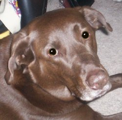 My Pretty Boy My Pretty Boy