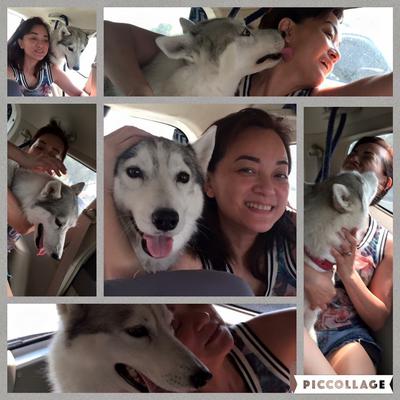 It was love at first sight. It was love at first sight.