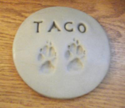 Taco's paws Taco's paws