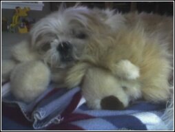 You're The Best, Shaggy!! You're The Best, Shaggy!!