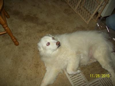 Our Last Goodbye... Our Last Goodbye...