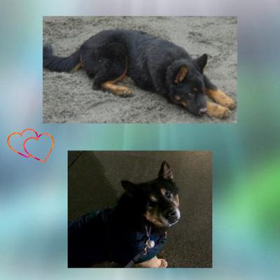 Our 1st Year and Last Our 1st Year and Last