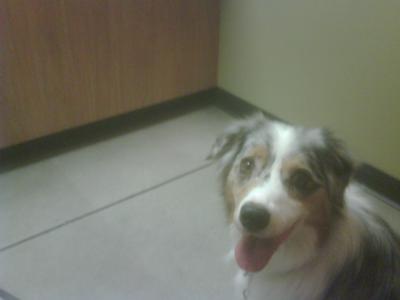 Less than one week ago Less than one week ago