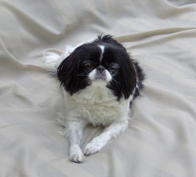 Love of my life, My angel