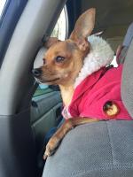 In the car, where she thought she belonged