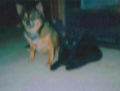 Abby's Other Friend, Noah 