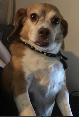 My beautiful girl, Cici