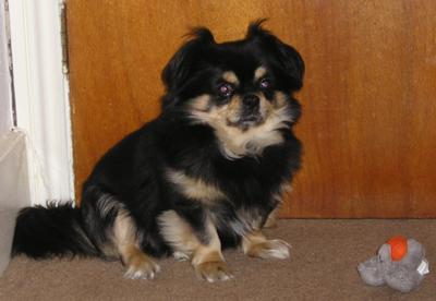 Loverly Benson again xxx