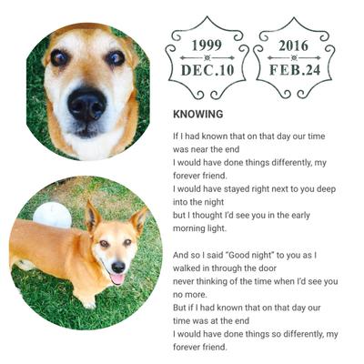 born a dog died a gentleman
