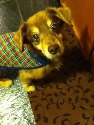 Brandy at 18 years old