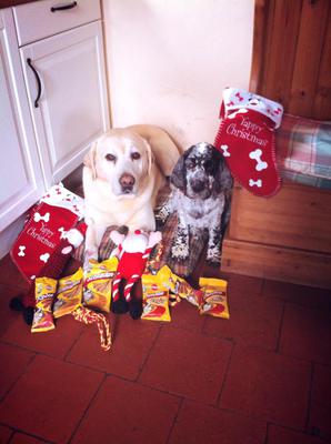 Brecon (L) & Radnor  - Christmas 2013