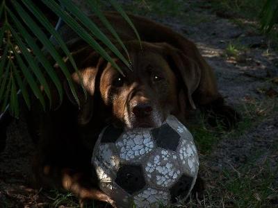 Austin: 03/22/1999- 05/31/2011