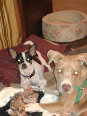 My best friend NEVER left my side