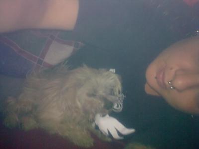 One of our last snuggles