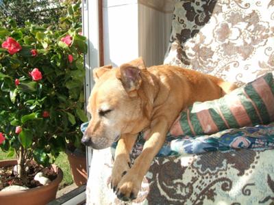 Enjoying the sunshine