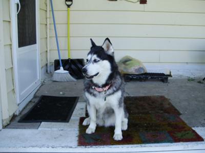 The Most Beautiful Girl in the World