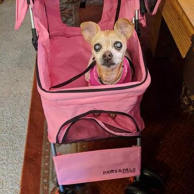 In her stroller