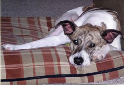 Eli: He was Heaven on Earth