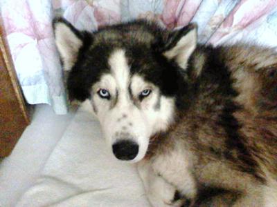 My handsome boy Effah