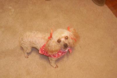 A Day After the Spa!