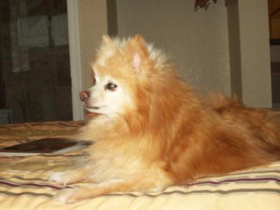 Jan. 9 1994 - May 9 2011