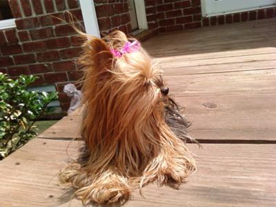 Enjoying a clear sunny day!