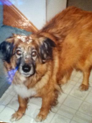 Sable Connolly 1994 - 2004<3